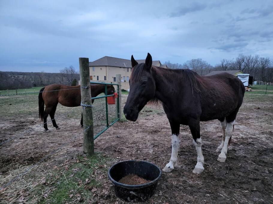 Deer Run Estate Llc Hotel Marshfield Екстериор снимка